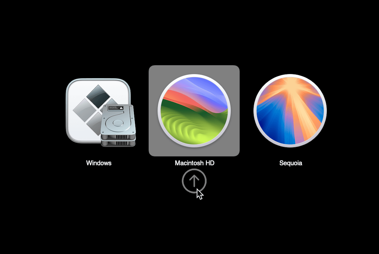 theme